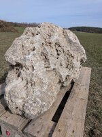 Muschelkalk Felsen #79