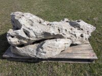 Muschelkalk Felsen #55