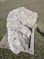 Muschelkalk Felsen #55