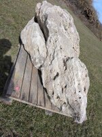Muschelkalk Felsen #55