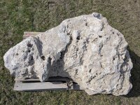 Muschelkalk Felsen #55