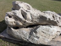 Muschelkalk Felsen #55