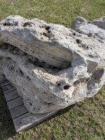 Muschelkalk Felsen #55