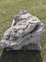 Muschelkalk Felsen #55