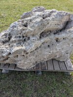 Muschelkalk Felsen #55