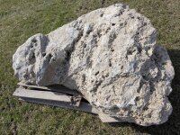 Muschelkalk Felsen #55