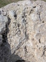 Muschelkalk Felsen #55