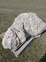 Muschelkalk Felsen #55
